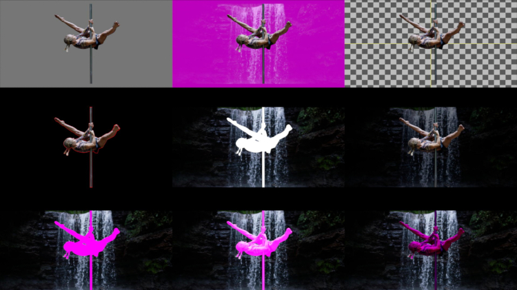 ANDREWS ROTO CHECK EXAMPLE IMAGE 3