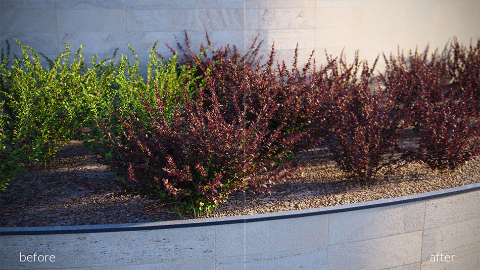 example 03