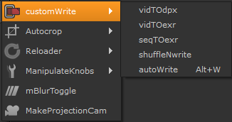 customWrite