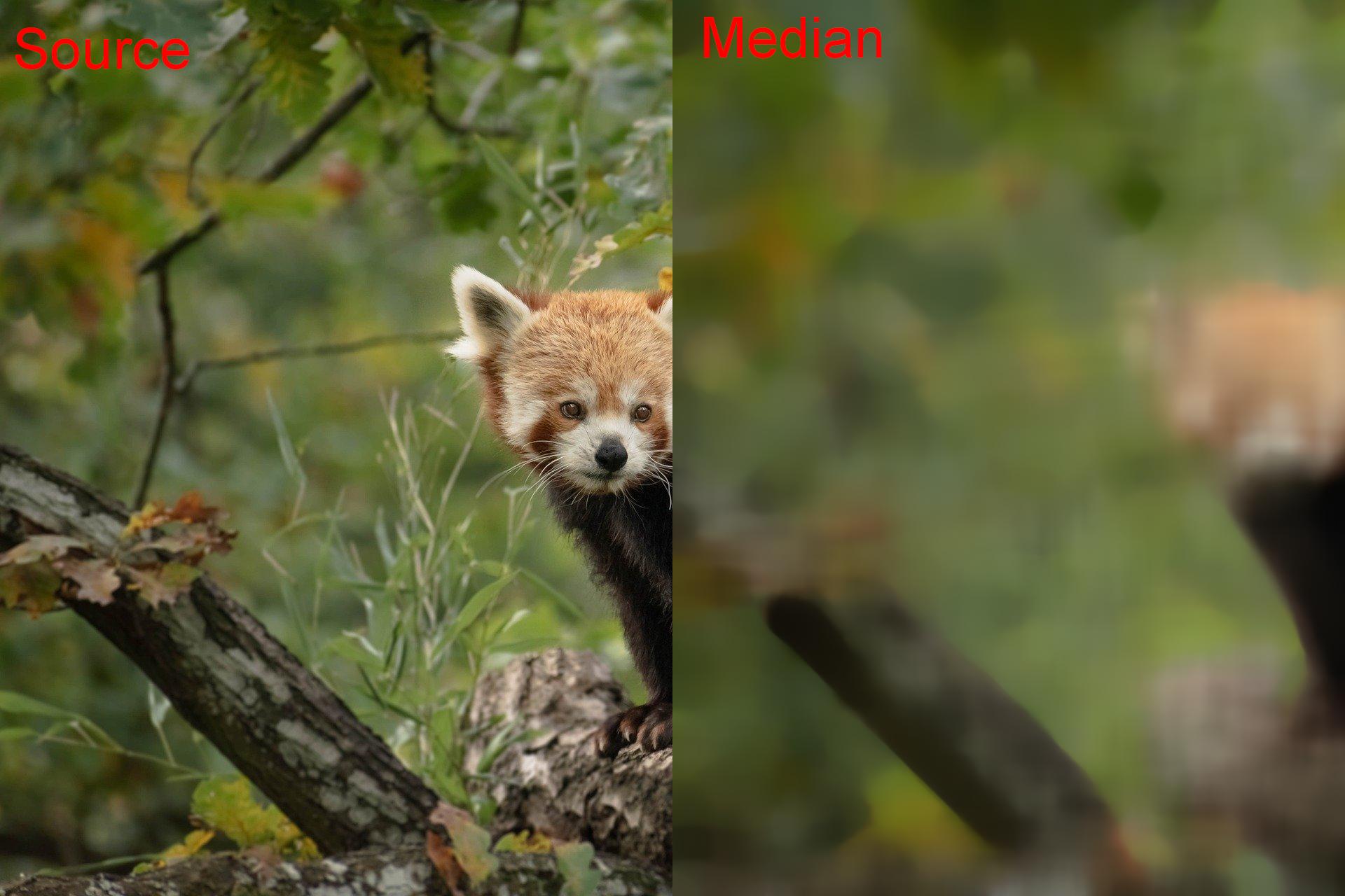 Animal Median v01