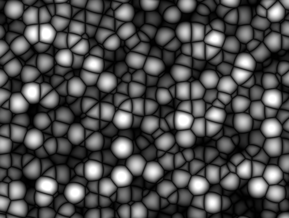 alligator 1lacunarity